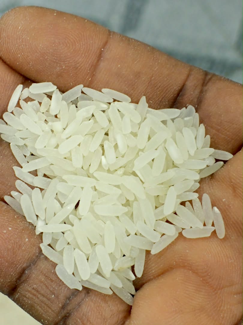 Sauce Graine et Riz Blanc Eden